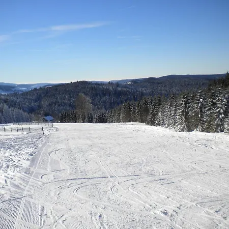 Cosy Proche De Gerardmer Et Colmar - Nature, Wifi, 2 Chambres, Terrasse, Garage - Fr-1-589-306 Feriehus Plainfaing