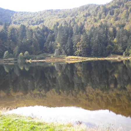 度假居 Cosy Proche De Gerardmer Et Colmar - Nature, Wifi, 2 Chambres, Terrasse, Garage - Fr-1-589-306 *