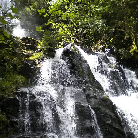 Cosy Proche De Gerardmer Et Colmar - Nature, Wifi, 2 Chambres, Terrasse, Garage - Fr-1-589-306 Feriehus *