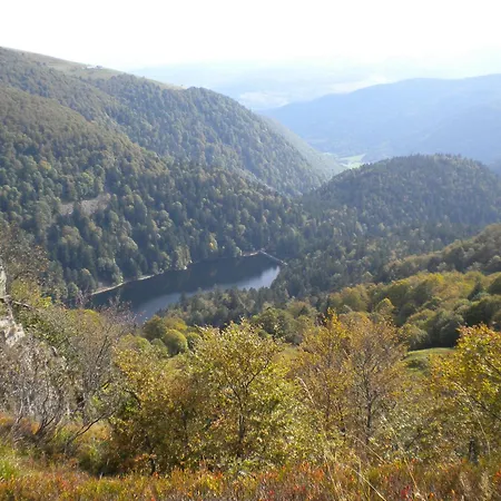 Cosy Proche De Gerardmer Et Colmar - Nature, Wifi, 2 Chambres, Terrasse, Garage - Fr-1-589-306 *