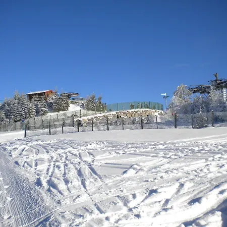 Cosy Proche De Gerardmer Et Colmar - Nature, Wifi, 2 Chambres, Terrasse, Garage - Fr-1-589-306