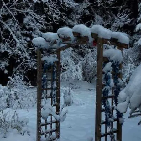 Cosy Proche De Gerardmer Et Colmar - Nature, Wifi, 2 Chambres, Terrasse, Garage - Fr-1-589-306 *