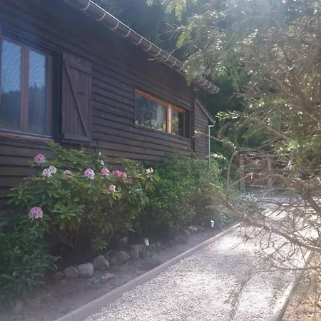 Cosy Proche De Gerardmer Et Colmar - Nature, Wifi, 2 Chambres, Terrasse, Garage - Fr-1-589-306 *