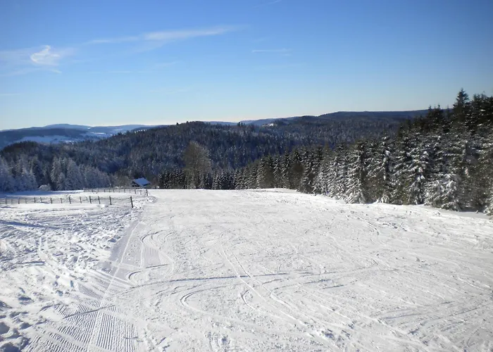 Cosy Proche De Gerardmer Et Colmar - Nature, Wifi, 2 Chambres, Terrasse, Garage - Fr-1-589-306 Prázdninový dům Plainfaing