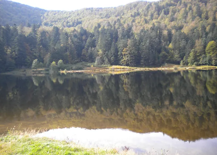 Feriehus Cosy Proche De Gerardmer Et Colmar - Nature, Wifi, 2 Chambres, Terrasse, Garage - Fr-1-589-306 *