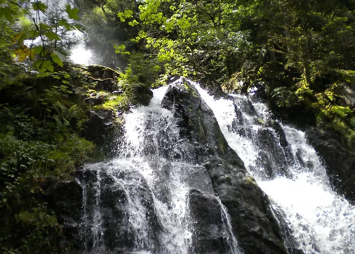 Cosy Proche De Gerardmer Et Colmar - Nature, Wifi, 2 Chambres, Terrasse, Garage - Fr-1-589-306 Feriehus *