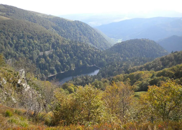 Cosy Proche De Gerardmer Et Colmar - Nature, Wifi, 2 Chambres, Terrasse, Garage - Fr-1-589-306 *