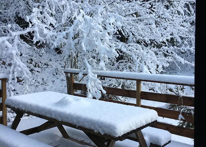 Cosy Proche De Gerardmer Et Colmar - Nature, Wifi, 2 Chambres, Terrasse, Garage - Fr-1-589-306 Feriehus Plainfaing