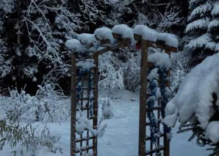 Cosy Proche De Gerardmer Et Colmar - Nature, Wifi, 2 Chambres, Terrasse, Garage - Fr-1-589-306 *